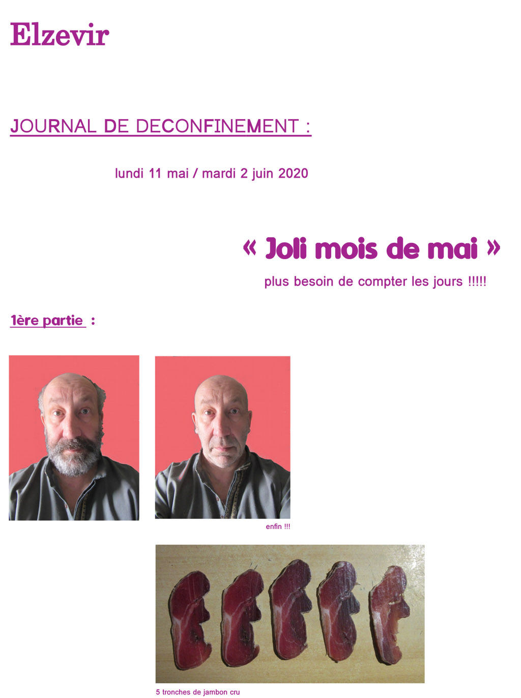 Elzevir - Journal de déconfinement - Partie 1