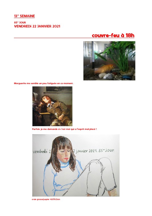 Elzevir - Journal de reconfinement - Semaine 13