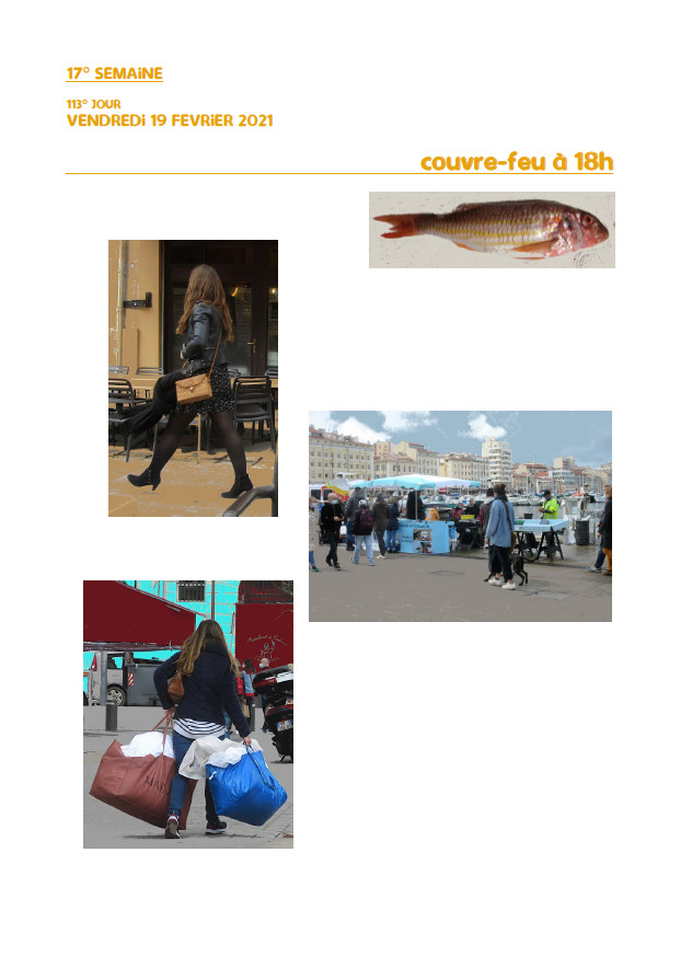 Elzevir - Journal de reconfinement - Semaine 17