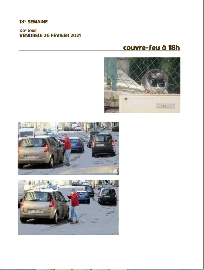 Elzevir - Journal de reconfinement - Semaine 18