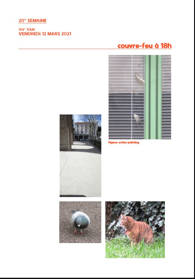 Elzevir - Journal de reconfinement - Semaine 20