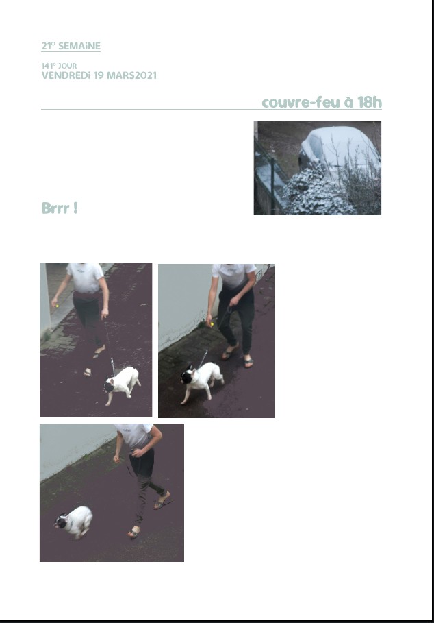 Elzevir - Journal de reconfinement - Semaine 21