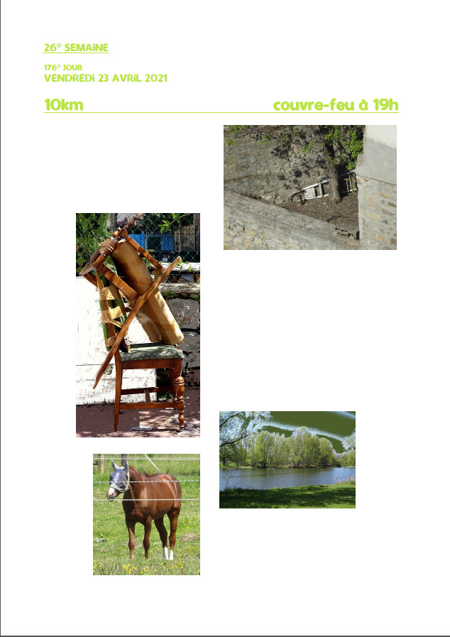 Elzevir - Journal de reconfinement - Semaine 26