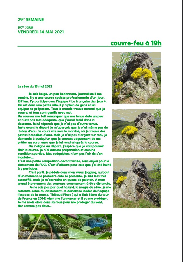 Elzevir - Journal de reconfinement - Semaine 29