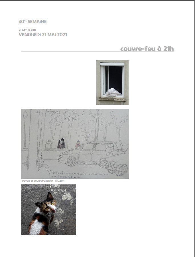 Elzevir - Journal de reconfinement - Semaine 30