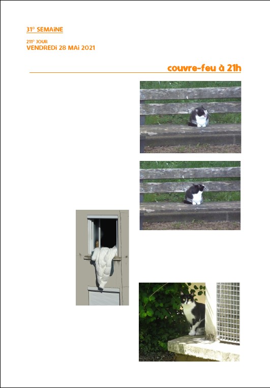 Elzevir - Journal de reconfinement - Semaine 31