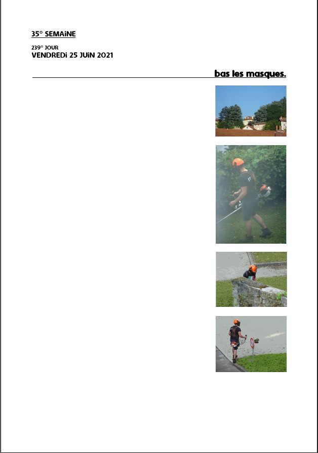 Elzevir - Journal de reconfinement - Semaine 35